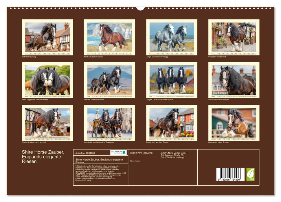 Shire Horse Zauber. Englands elegante Riesen (CALVENDO Premium Wandkalender 2027)