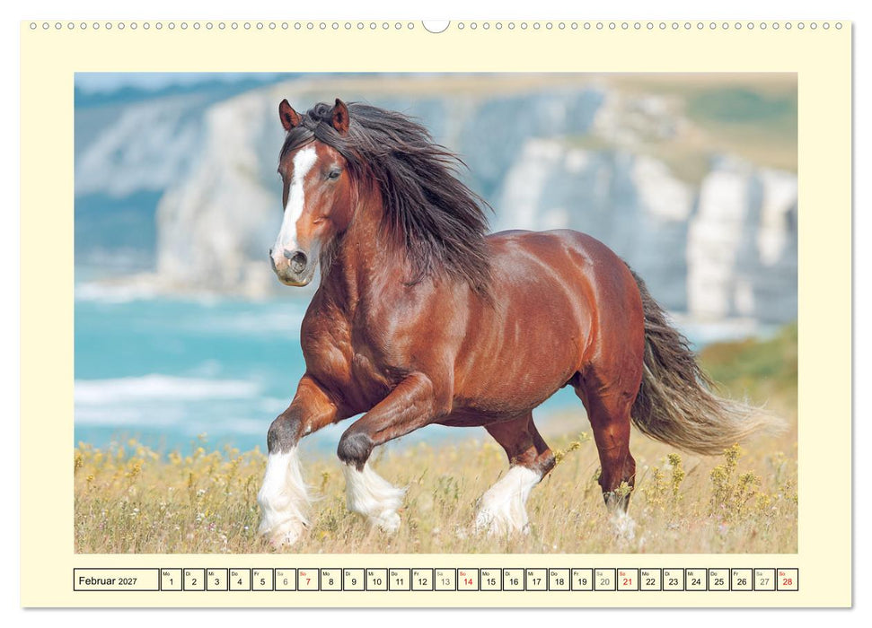 Shire Horse Zauber. Englands elegante Riesen (CALVENDO Premium Wandkalender 2027)