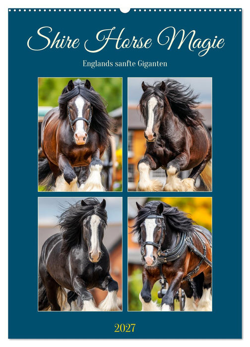 Shire Horse Magie. Englands sanfte Giganten (CALVENDO Wandkalender 2027)