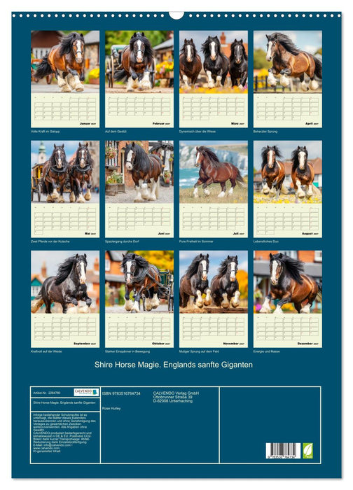 Shire Horse Magie. Englands sanfte Giganten (CALVENDO Wandkalender 2027)