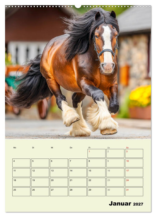 Shire Horse Magie. Englands sanfte Giganten (CALVENDO Wandkalender 2027)