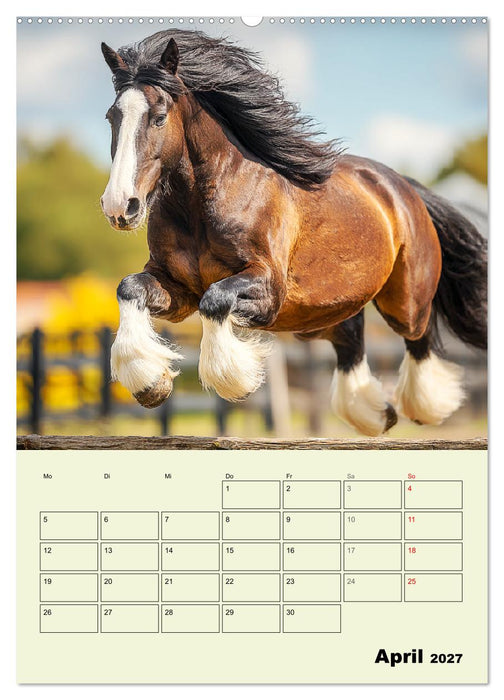 Shire Horse Magie. Englands sanfte Giganten (CALVENDO Wandkalender 2027)
