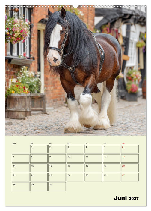 Shire Horse Magie. Englands sanfte Giganten (CALVENDO Wandkalender 2027)