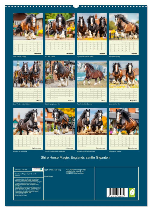 Shire Horse Magie. Englands sanfte Giganten (CALVENDO Premium Wandkalender 2027)