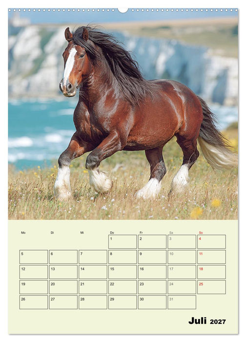 Shire Horse Magie. Englands sanfte Giganten (CALVENDO Premium Wandkalender 2027)