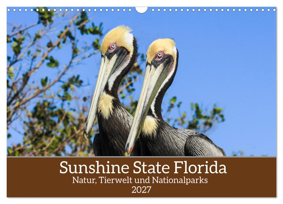 Sunshine State Florida Natur, Tierwelt und Nationalparks (CALVENDO Wandkalender 2027)