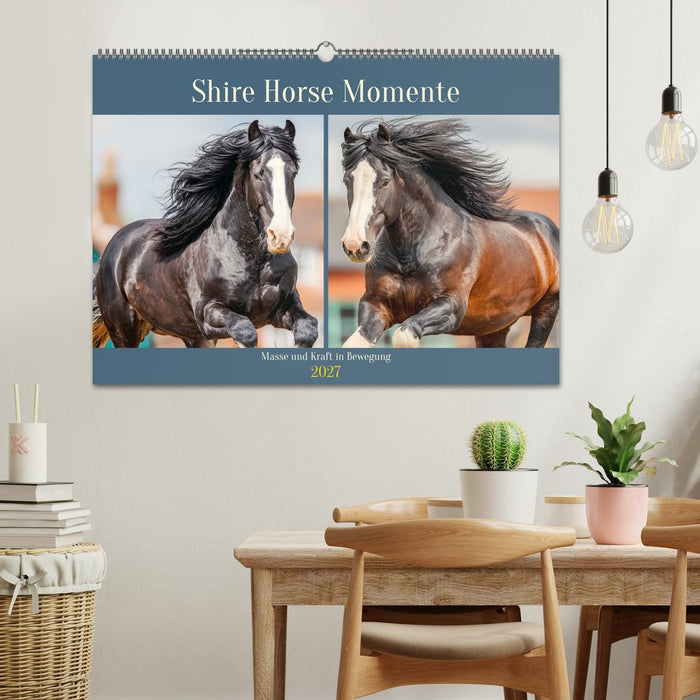 Shire Horse Momente. Masse und Kraft in Bewegung (CALVENDO Wandkalender 2027)