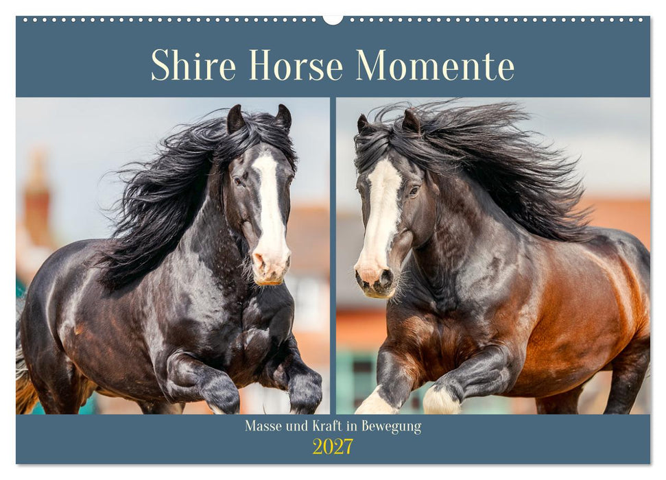 Shire Horse Momente. Masse und Kraft in Bewegung (CALVENDO Wandkalender 2027)