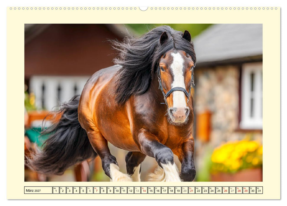 Shire Horse Momente. Masse und Kraft in Bewegung (CALVENDO Wandkalender 2027)
