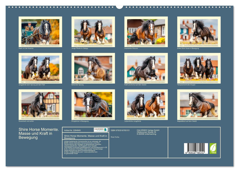 Shire Horse Momente. Masse und Kraft in Bewegung (CALVENDO Premium Wandkalender 2027)
