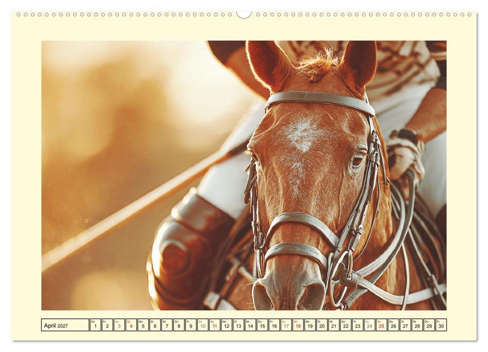 Pferdesport Impressionen. Eleganz, Kraft und Vertrauen (CALVENDO Wandkalender 2027)