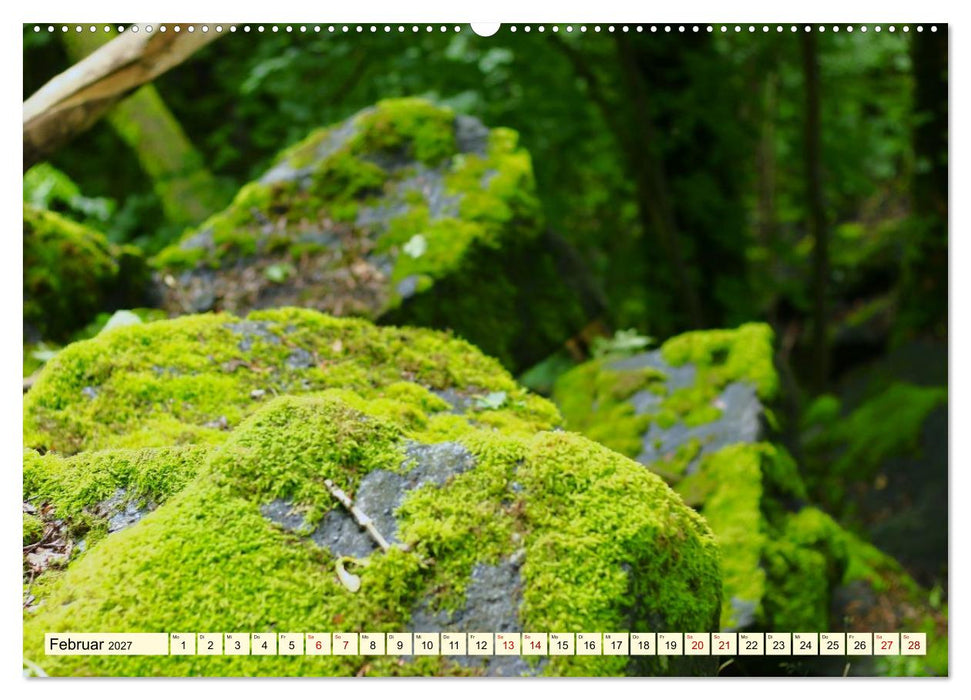 Natur und Architektur im Odenwald (CALVENDO Wandkalender 2027)