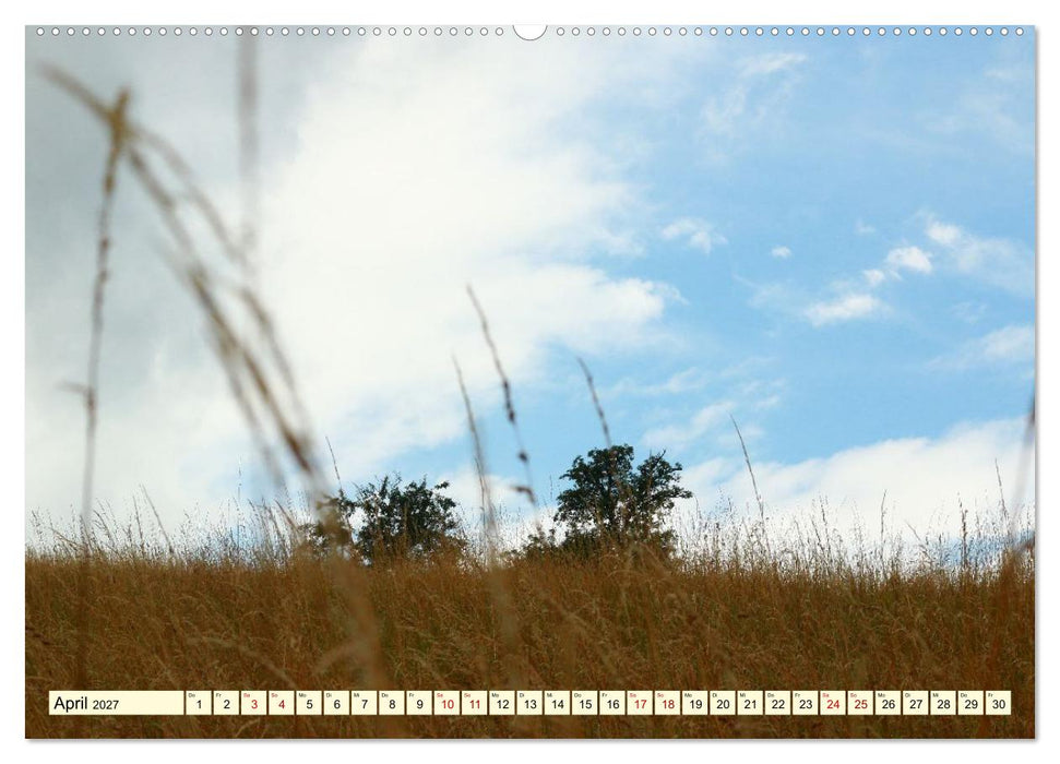 Natur und Architektur im Odenwald (CALVENDO Wandkalender 2027)