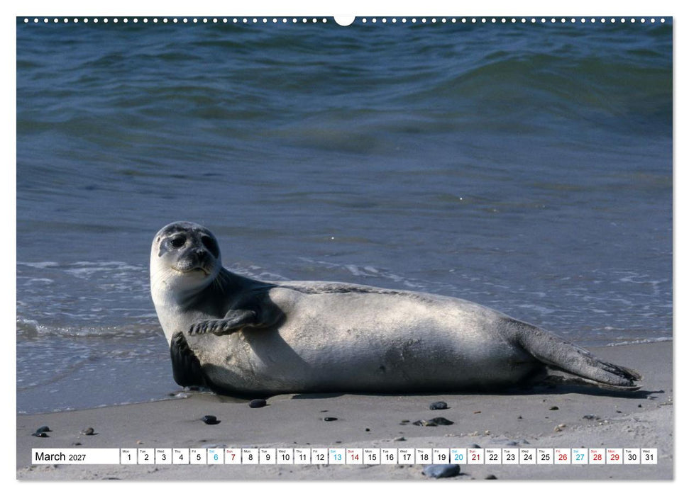 Heligoland, Germany’s Red Cliffs (CALVENDO Monthly Calendar 2027)