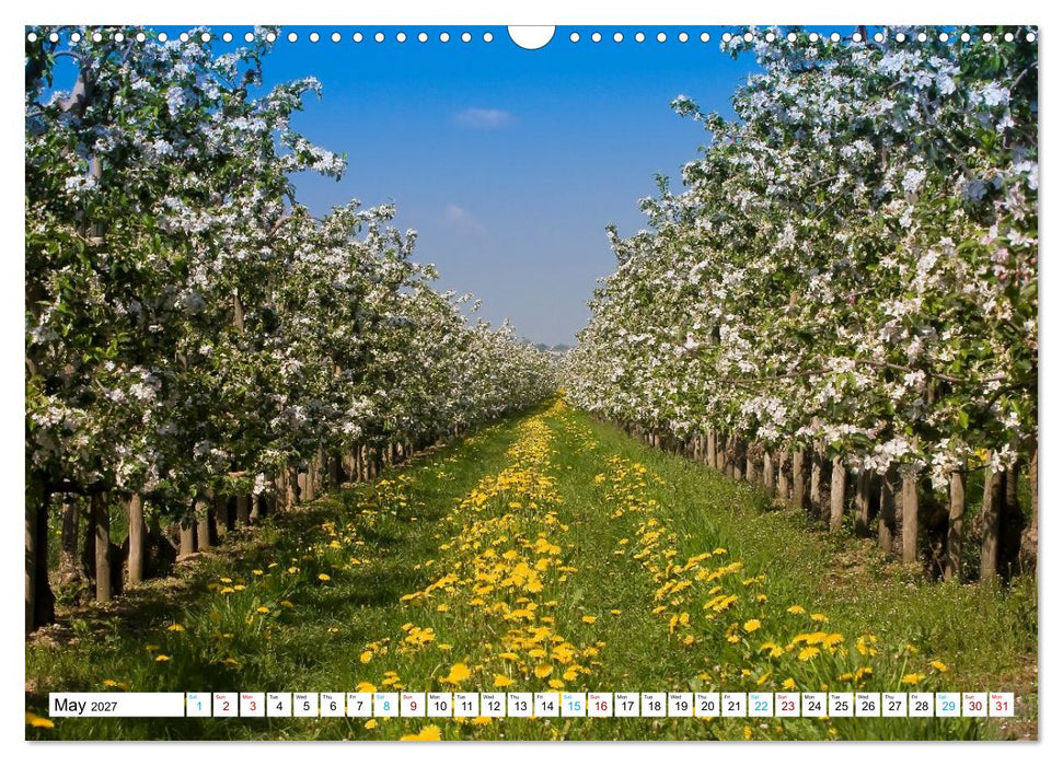 Germany’s apple orchards near Hamburg (CALVENDO Monthly Calendar 2027)