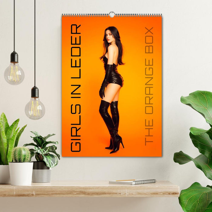 Girls in Leder - The Orange Box (CALVENDO Wandkalender 2027)