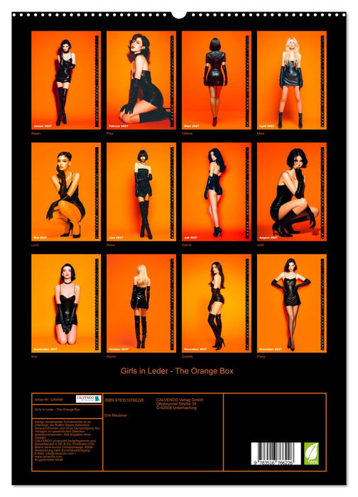 Girls in Leder - The Orange Box (CALVENDO Premium Wandkalender 2027)