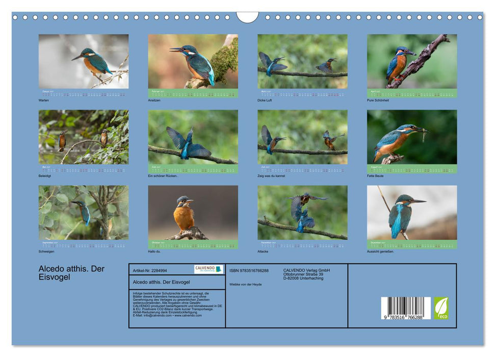 Alcedo atthis. Der Eisvogel (CALVENDO Wandkalender 2027)