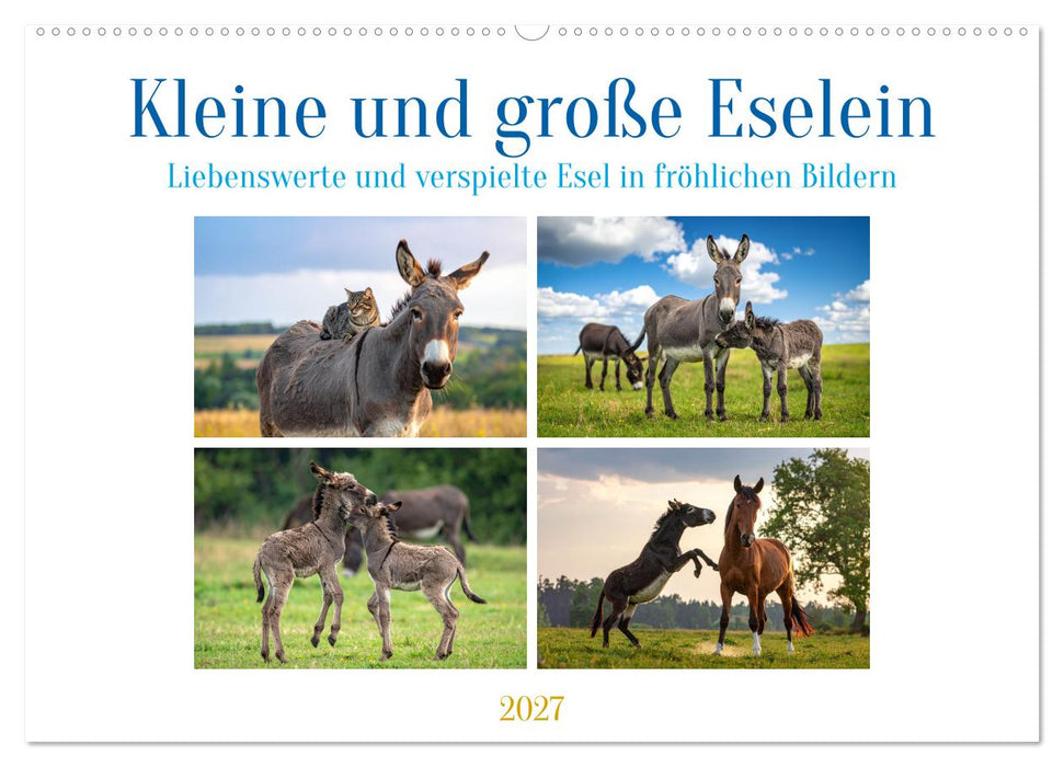 Kleine und große Eselein (CALVENDO Wandkalender 2027)