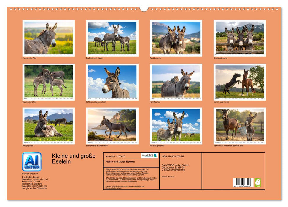 Kleine und große Eselein (CALVENDO Wandkalender 2027)