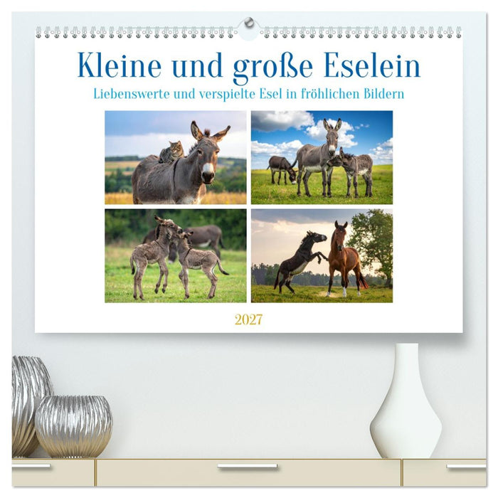 Kleine und große Eselein (CALVENDO Premium Wandkalender 2027)