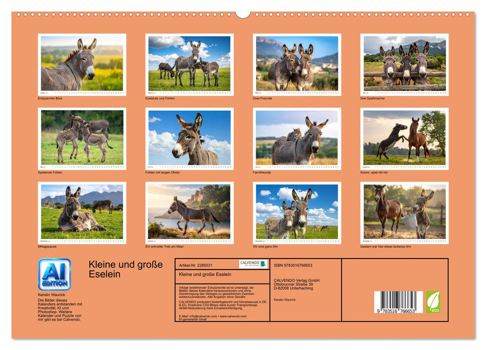 Kleine und große Eselein (CALVENDO Premium Wandkalender 2027)