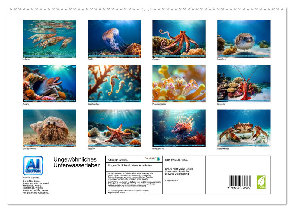 Ungewöhnliches Unterwasserleben (CALVENDO Premium Wandkalender 2027)