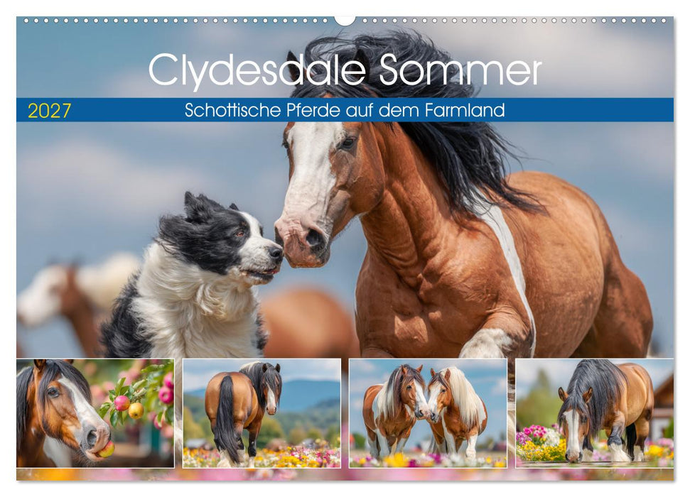 Clydesdale Sommer. Schottische Pferde auf dem Farmland (CALVENDO Wandkalender 2027)