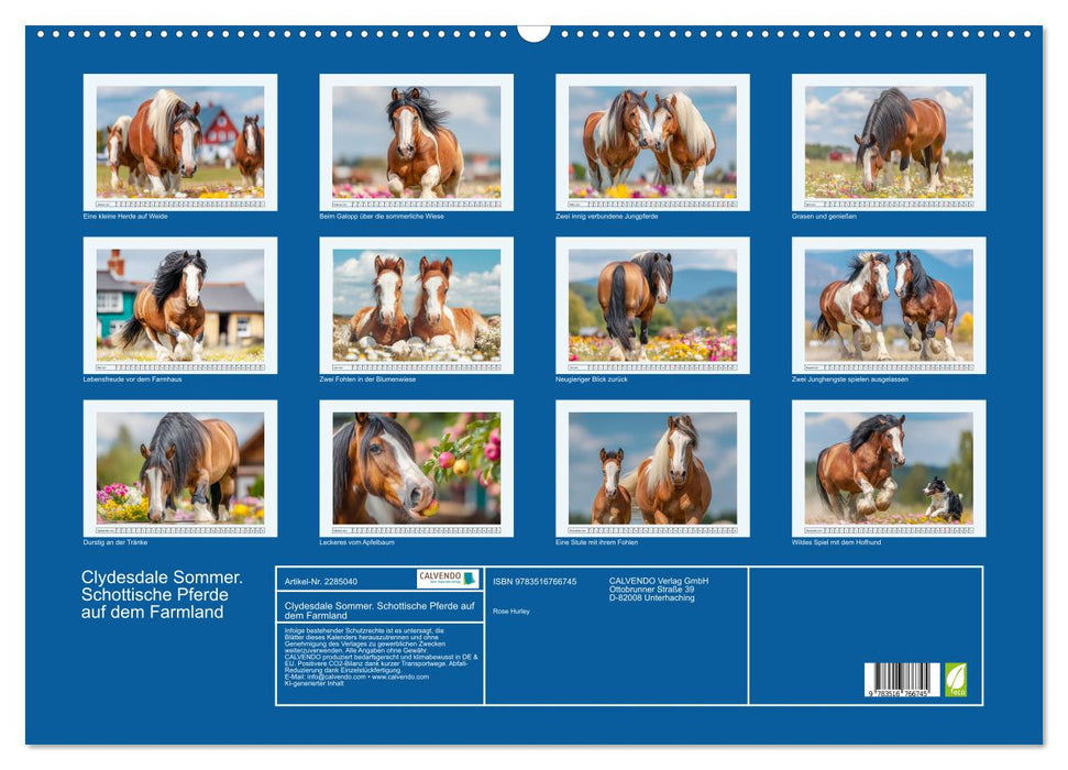 Clydesdale Sommer. Schottische Pferde auf dem Farmland (CALVENDO Wandkalender 2027)