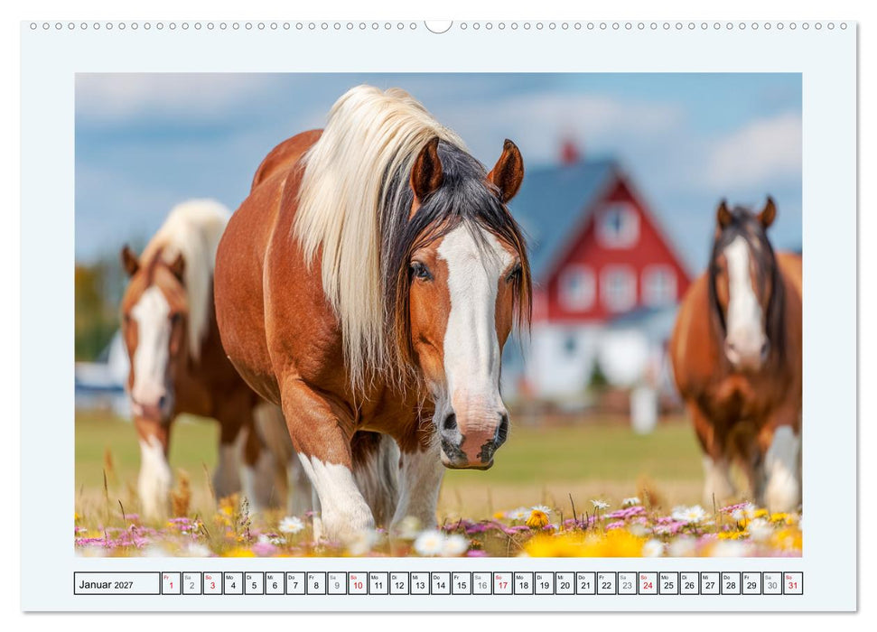 Clydesdale Sommer. Schottische Pferde auf dem Farmland (CALVENDO Wandkalender 2027)