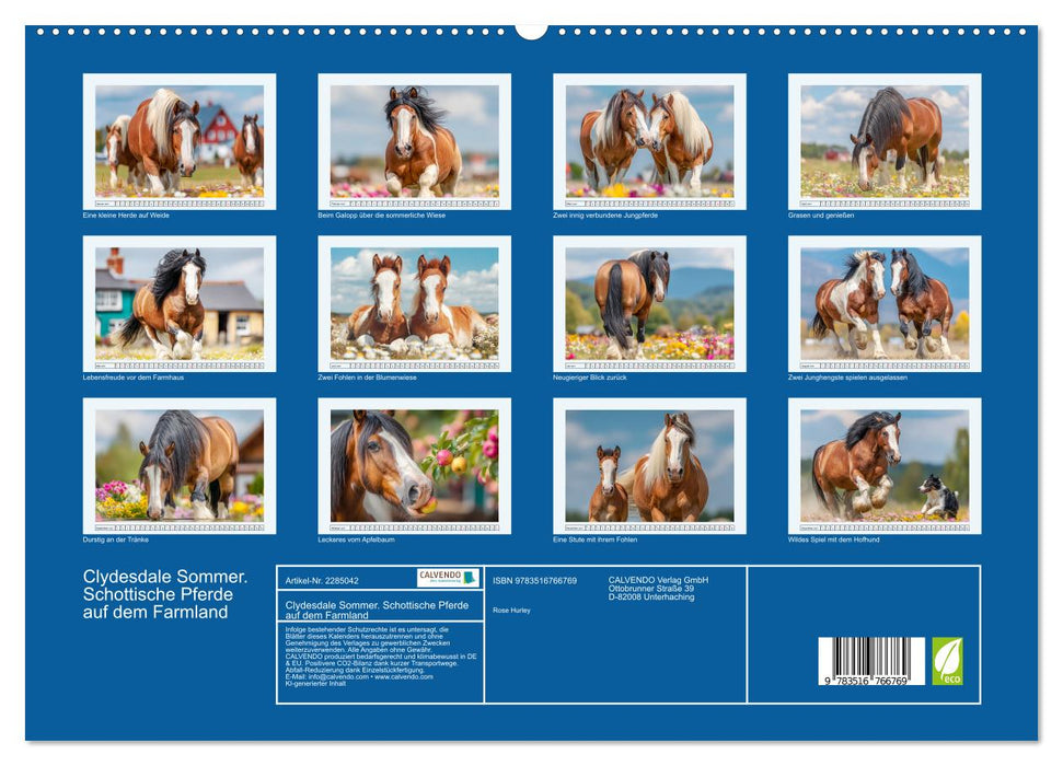 Clydesdale Sommer. Schottische Pferde auf dem Farmland (CALVENDO Premium Wandkalender 2027)