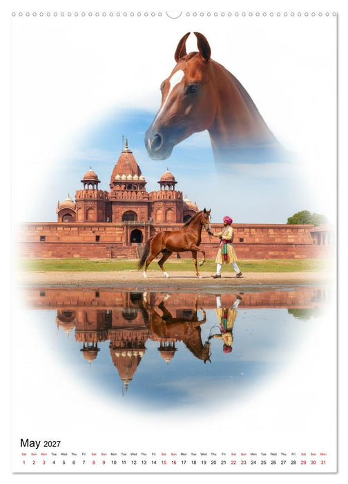 Horizon Horses (CALVENDO Monthly Calendar 2027)