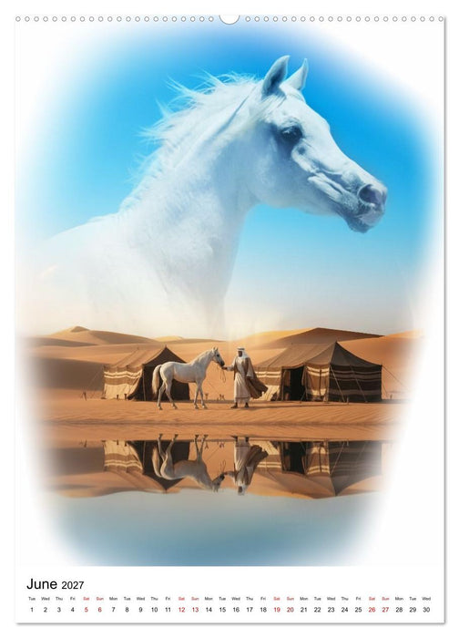 Horizon Horses (CALVENDO Monthly Calendar 2027)