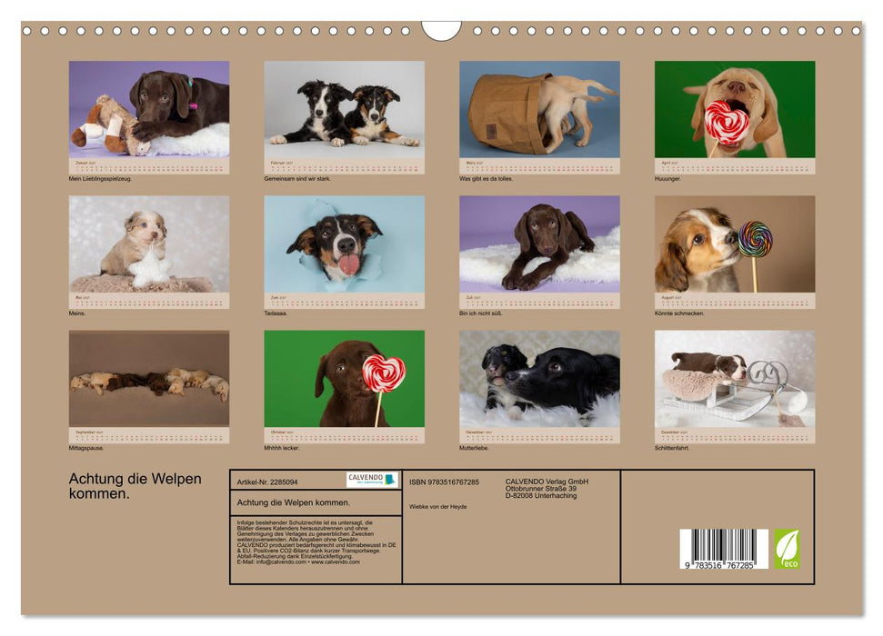 Achtung die Welpen kommen. (CALVENDO Wandkalender 2027)