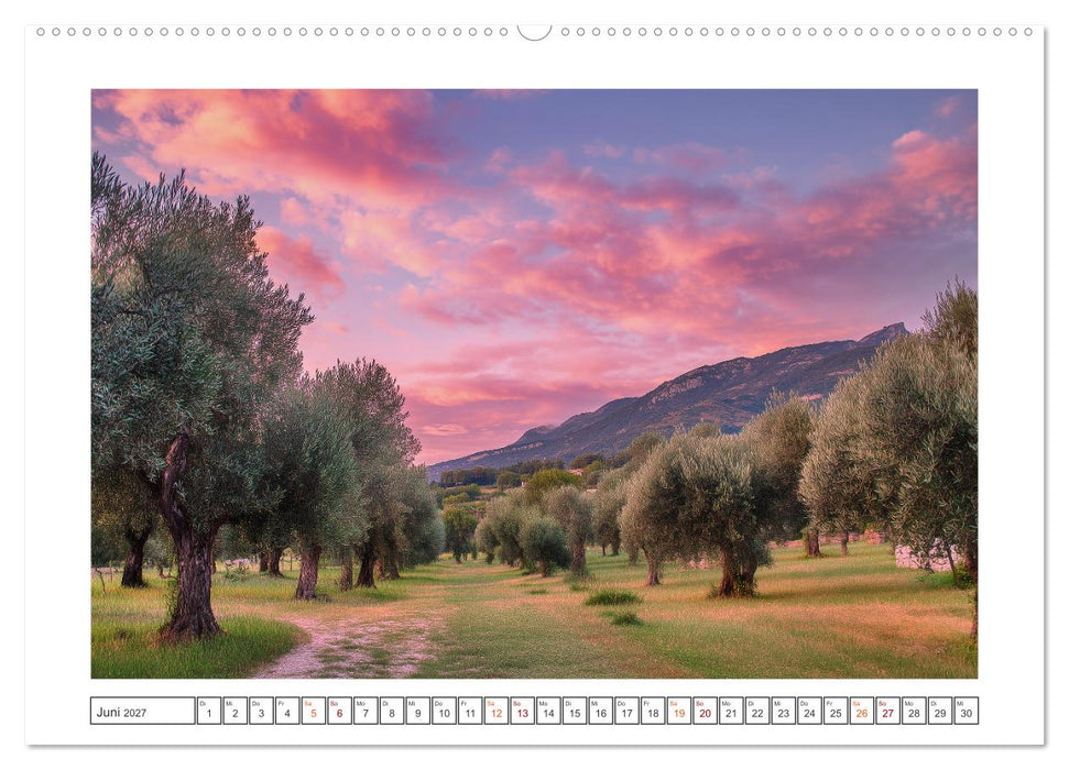 Die Magie der Olivenhaine (CALVENDO Wandkalender 2027)