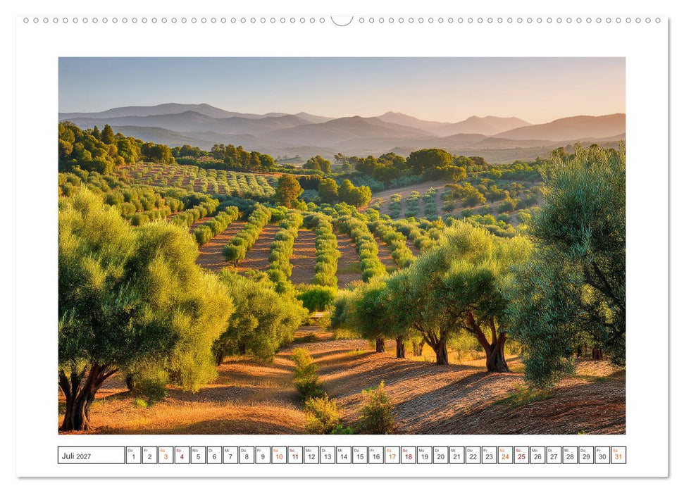 Die Magie der Olivenhaine (CALVENDO Premium Wandkalender 2027)