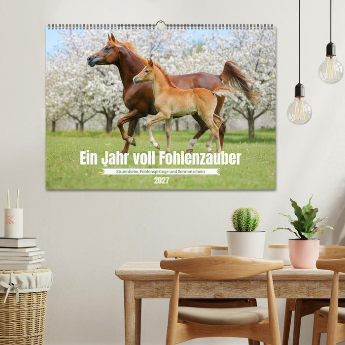 Ein Jahr voll Fohlenzauber (CALVENDO Wandkalender 2027)