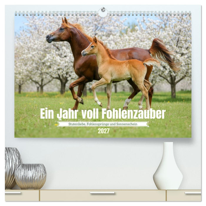 Ein Jahr voll Fohlenzauber (CALVENDO Premium Wandkalender 2027)