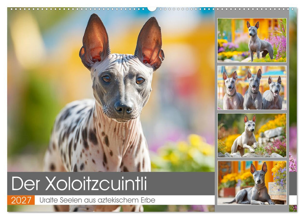 Der Xoloitzcuintli. Uralte Seelen aus aztekischem Erbe (CALVENDO Wandkalender 2027)