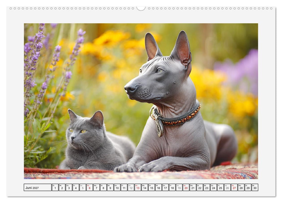 Der Xoloitzcuintli. Uralte Seelen aus aztekischem Erbe (CALVENDO Wandkalender 2027)