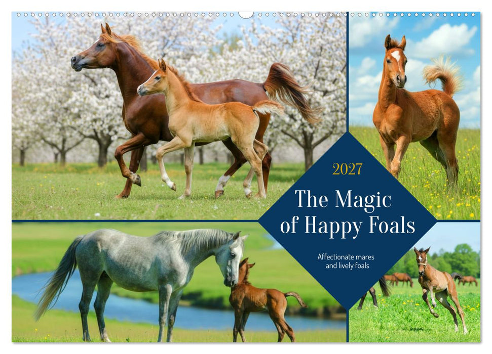 The Magic of Happy Foals (CALVENDO Monthly Calendar 2027)