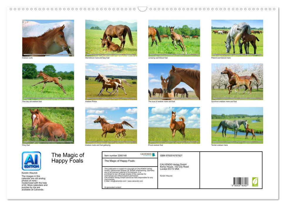 The Magic of Happy Foals (CALVENDO Monthly Calendar 2027)