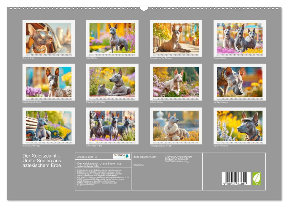 Der Xoloitzcuintli. Uralte Seelen aus aztekischem Erbe (CALVENDO Premium Wandkalender 2027)