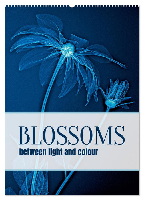 Blossoms between light and colour (CALVENDO Monthly Calendar 2027)