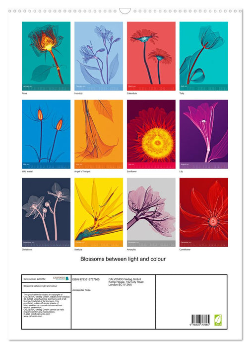 Blossoms between light and colour (CALVENDO Monthly Calendar 2027)