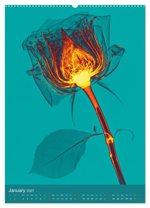 Blossoms between light and colour (CALVENDO Monthly Calendar 2027)