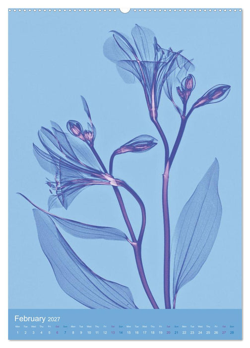 Blossoms between light and colour (CALVENDO Monthly Calendar 2027)