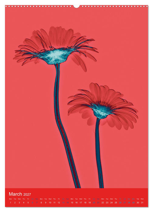 Blossoms between light and colour (CALVENDO Monthly Calendar 2027)