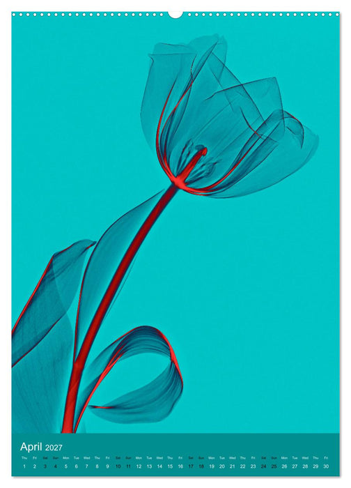 Blossoms between light and colour (CALVENDO Monthly Calendar 2027)