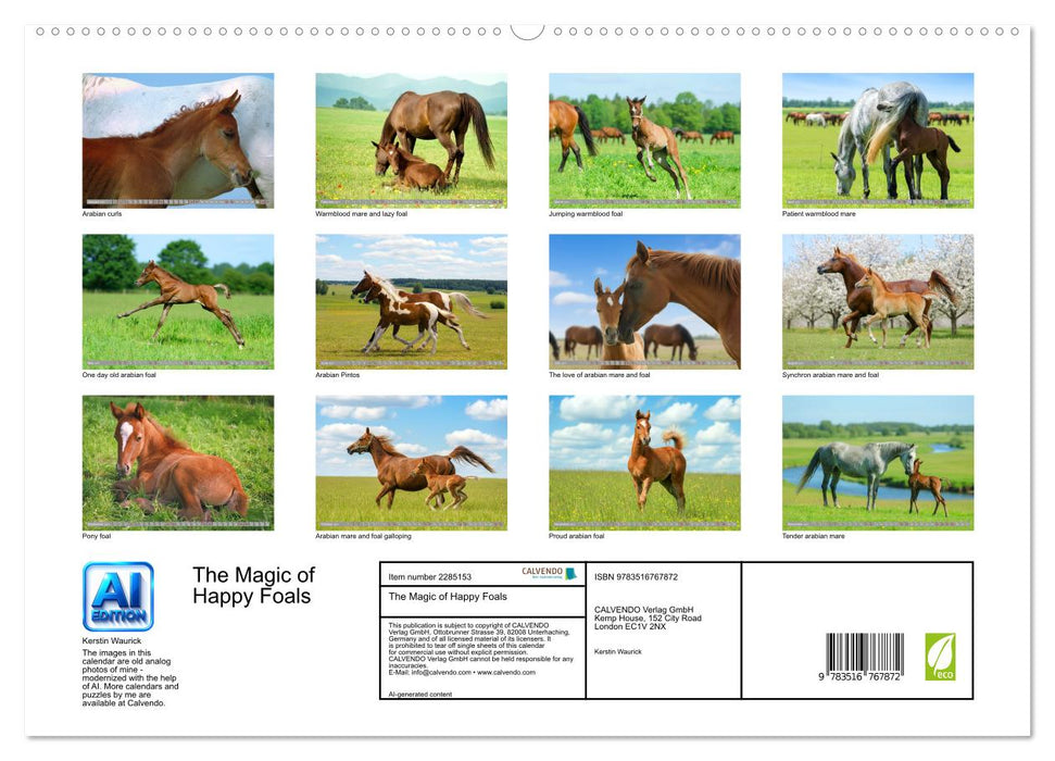 The Magic of Happy Foals (CALVENDO Premium-Calendar 2027)